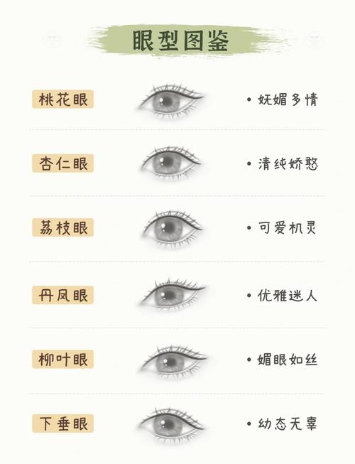 什么是四白眼,探究眼相学中的特殊眼型插图 什么是四白眼,探究眼相学中的特殊眼型插图