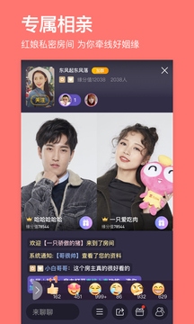 世纪佳缘交友网，跨越时空的浪漫邂逅插图