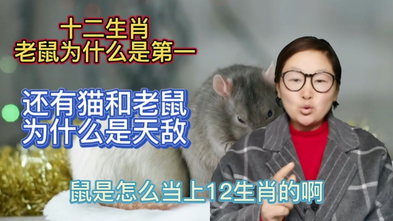 生肖鼠抛头露面常被提及，其性格易显机智策略。插图