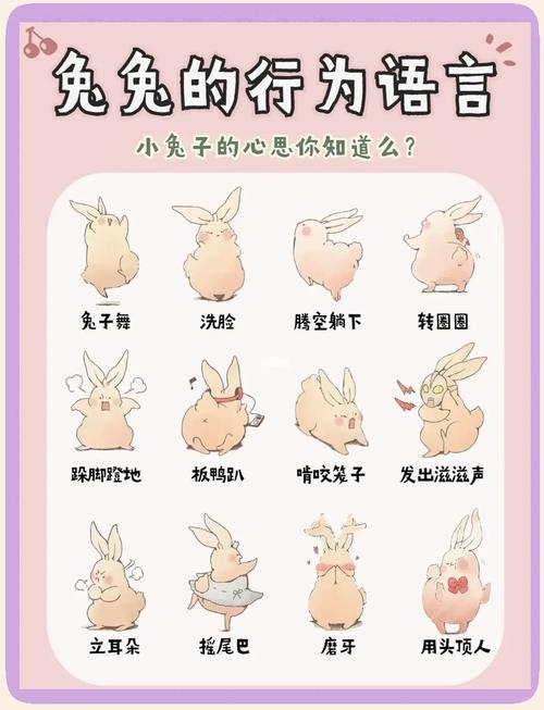 生肖中的多愁善感者—深度解读生肖兔的多重情感世界插图