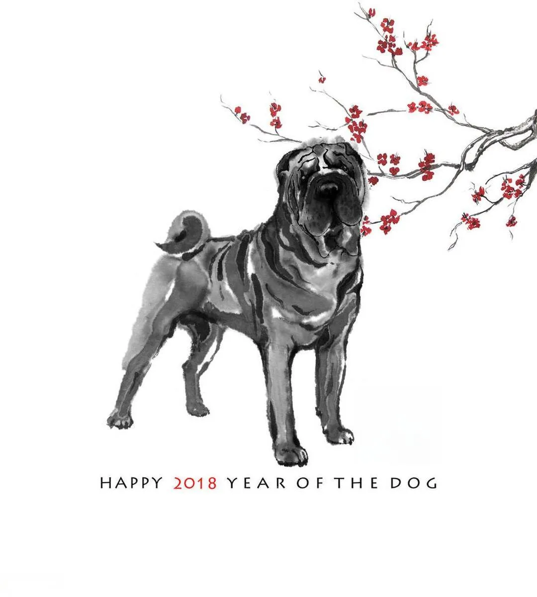 生肖中的忠心耿耿—狗插图