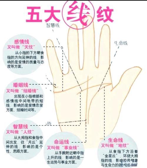 手相中的性别与手相解读，男左女右的传统与现代看法插图