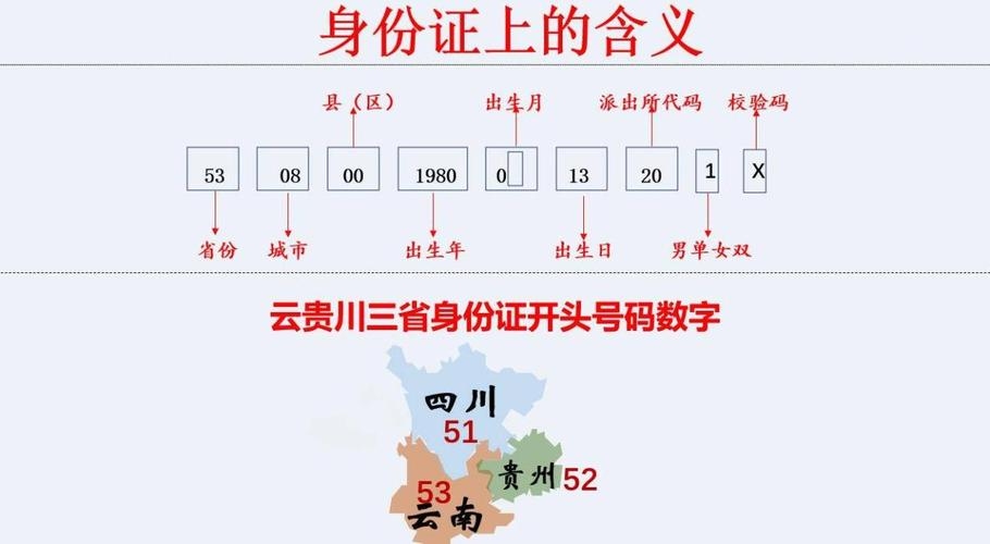 身份证号码与命运探索插图