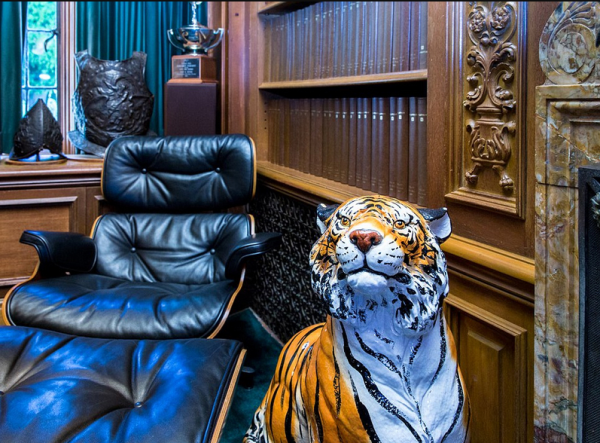 生肖之谜，花花公子究竟指何生肖？插图