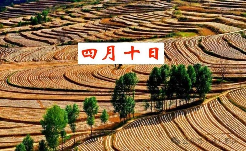 四月初十的特殊意义插图