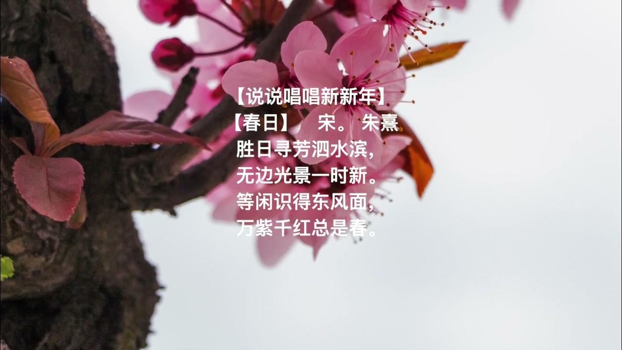 三月十四日，春天的序曲插图