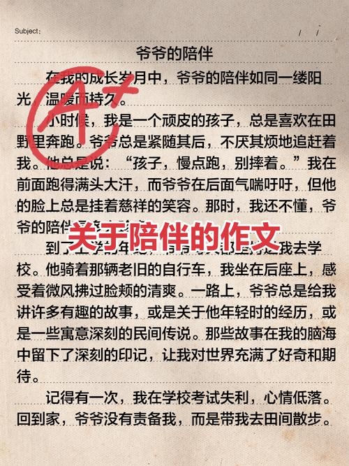 岁月里的温柔——一个关于陪伴与爱的感人故事插图