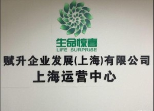 四字公司名字，匠心筑梦，卓越赋能插图