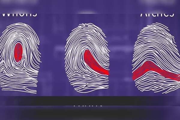 手指上的斗和簸箕,神秘的象征意义插图 手指上的斗和簸箕,神秘的象征意义插图