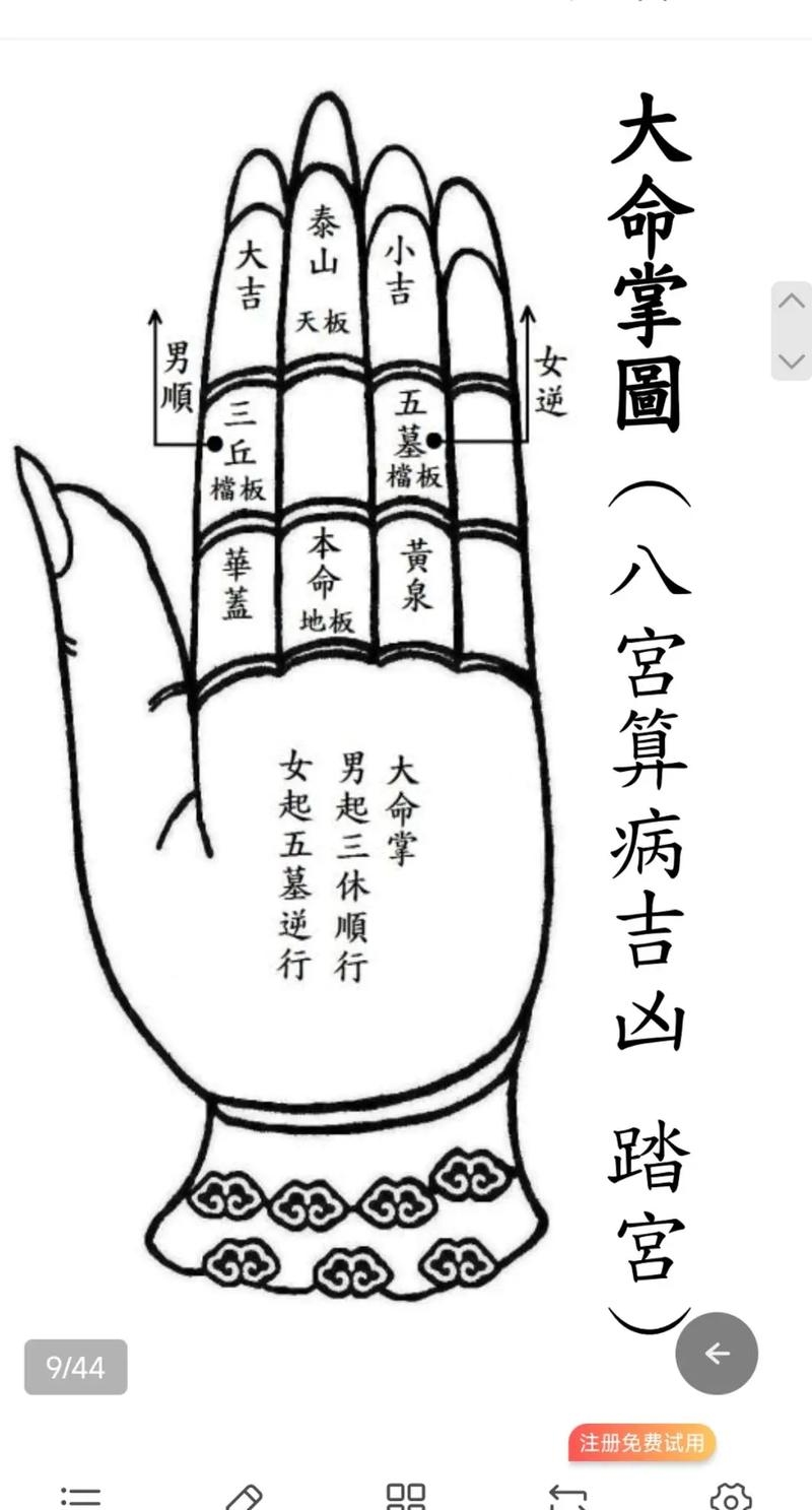 通关手，断掌与长寿、智力及疾病风险的关联插图