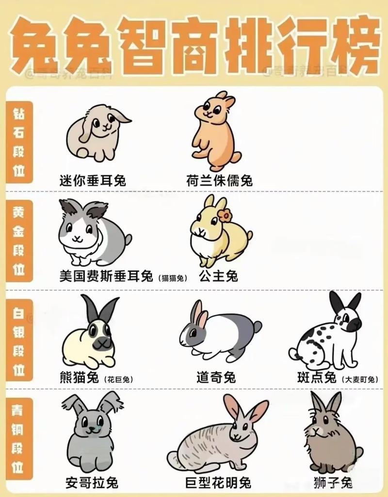 天生一对是兔子的生肖插图