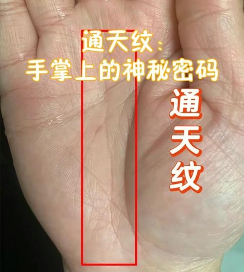 通天纹，神秘纹路之谜插图