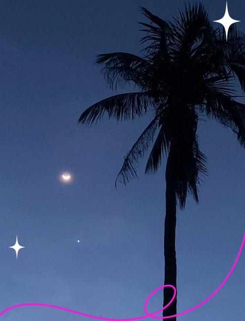 天文奇观，金星合北交——夜空中的浪漫邂逅插图