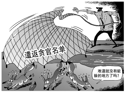 天网恢恢生肖揭秘插图