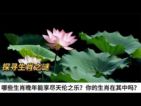 天下美景与生肖之谜插图