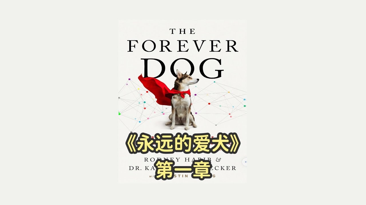 为爱犬命名，创意与深意的艺术插图