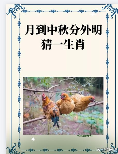 望穿秋水猜一生肖插图