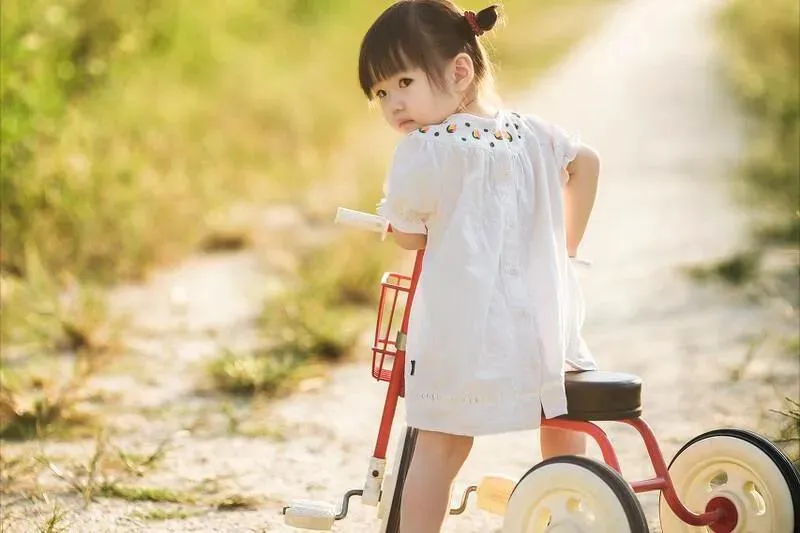 五行缺木的女孩名字插图 五行缺木的女孩名字插图