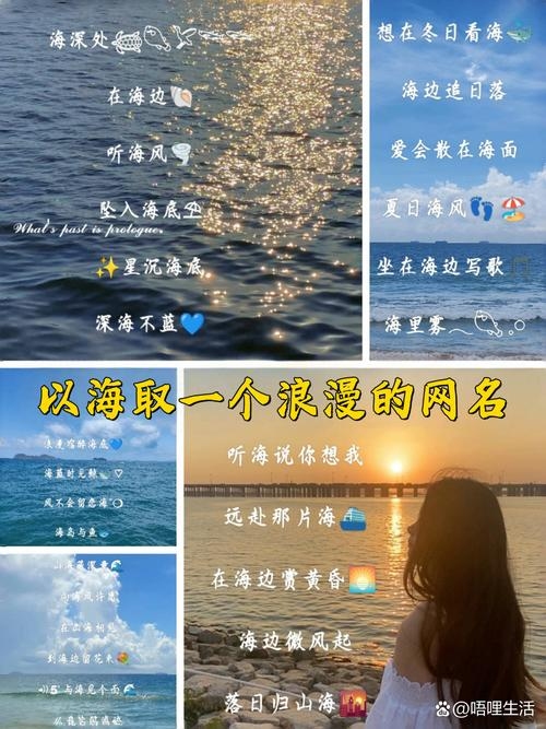 网海寻名，打造你的独特网名插图