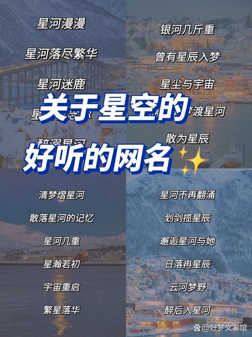 网名藏情脉脉，情字点亮人生星河插图