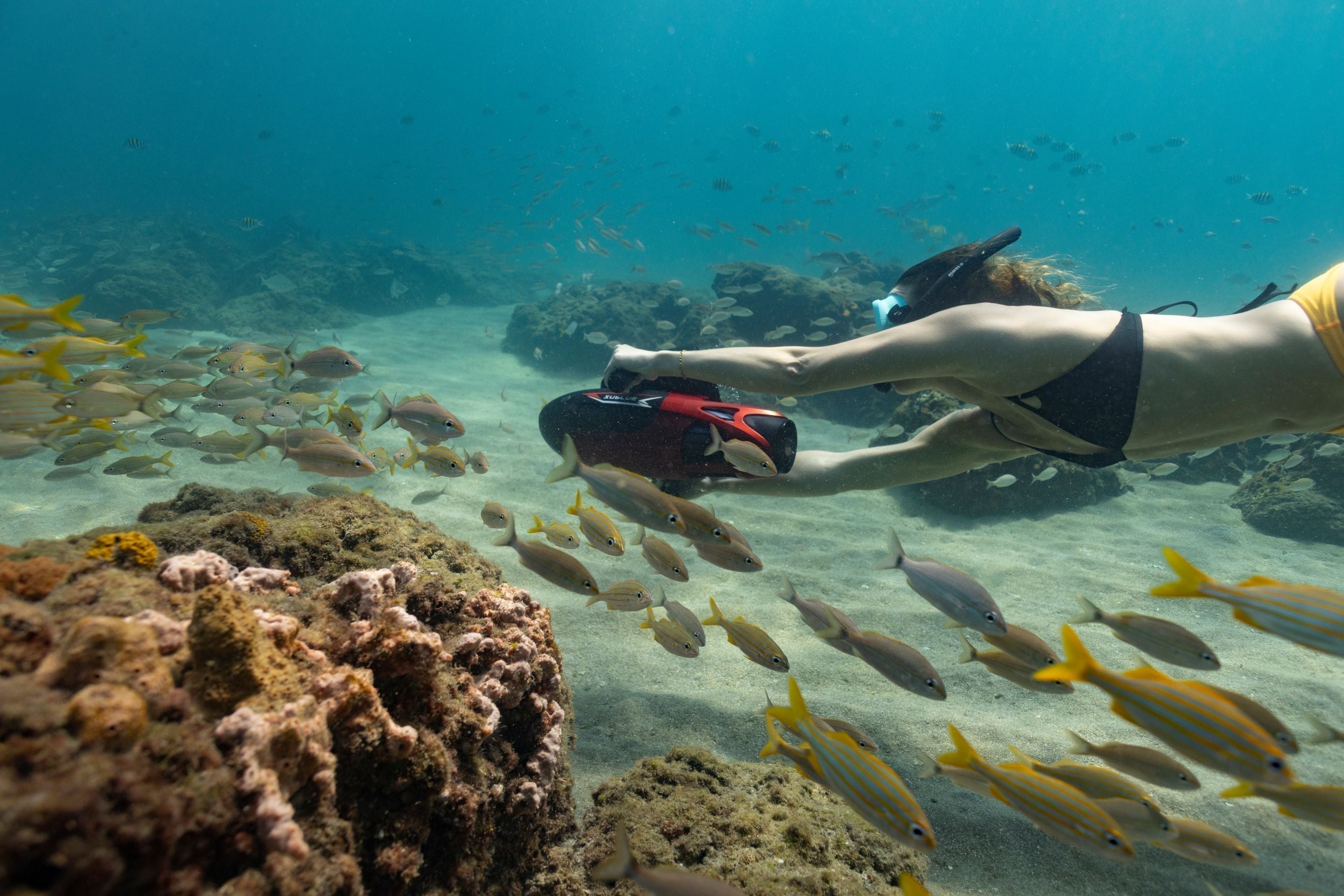 唯美女生网名，传递阳光心态，品味生活美好插图