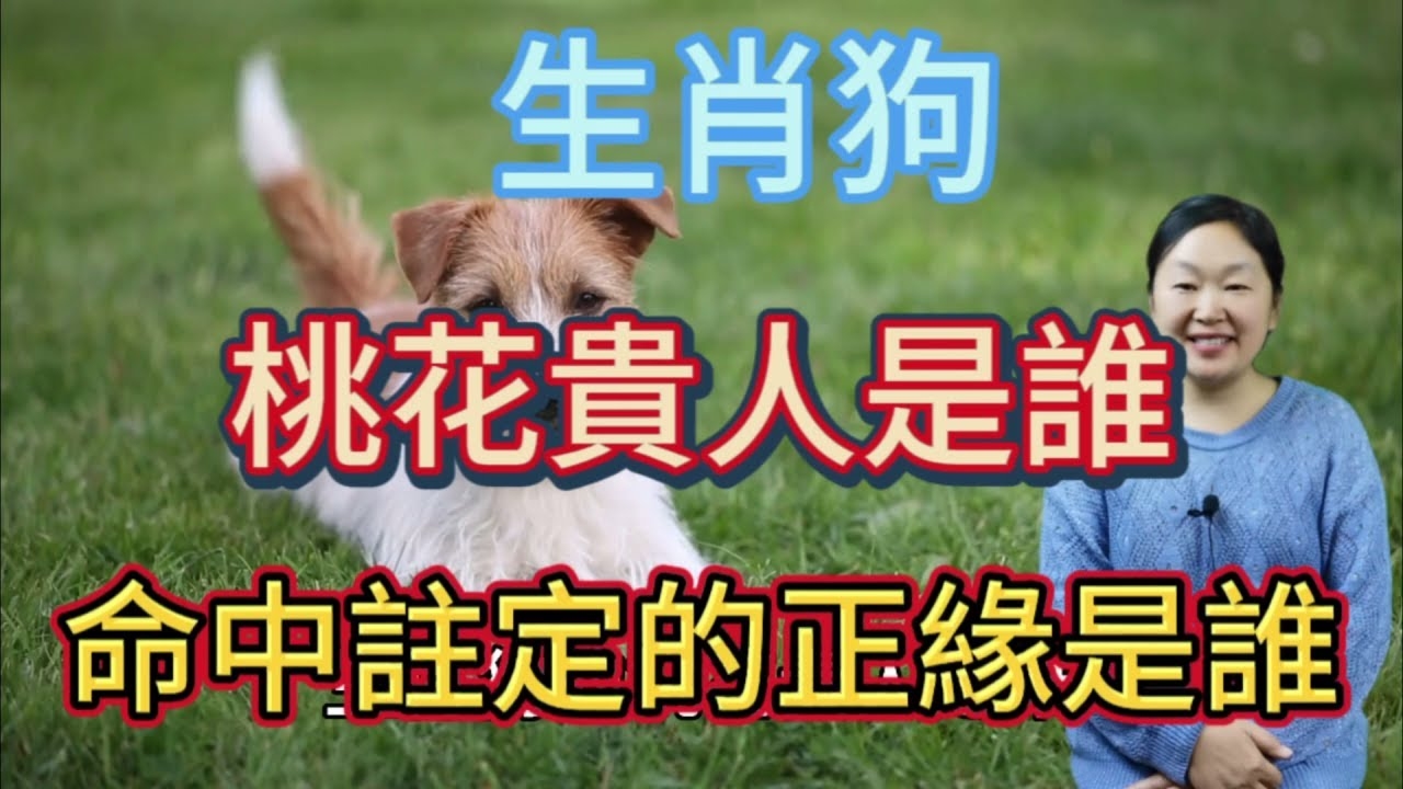 唯命是从的生肖—狗插图