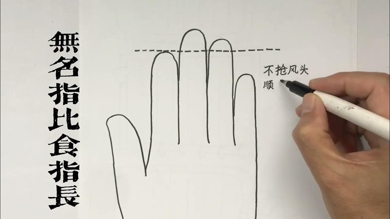 无名指比食指长代表什么？解读身体语言中的微妙信号插图