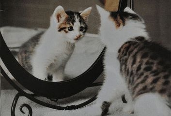 晚上不宜照镜子，迷信与科学的解读插图