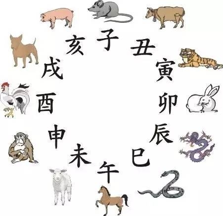 无所不知生肖揭秘插图