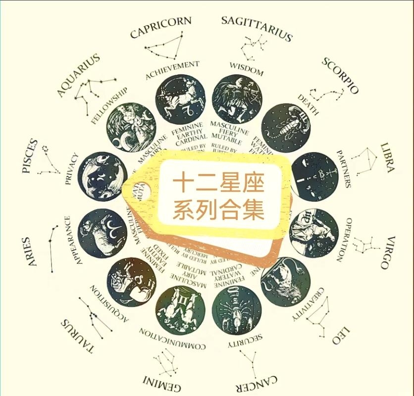 五十六个星座，多元共生，共绘星途壮志插图
