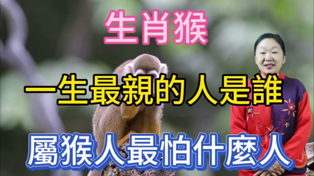无所畏惧的生肖—猴插图 无所畏惧的生肖—猴插图