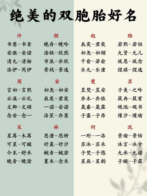 为双胞胎起名的艺术，创意与意义的完美结合插图