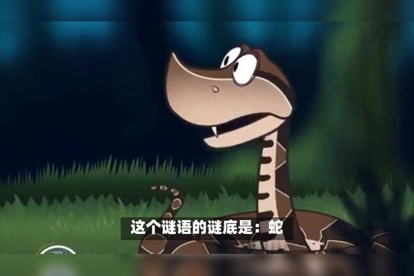 五体投地是什么生肖，龙插图