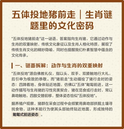 五体投地背后的生肖之谜插图