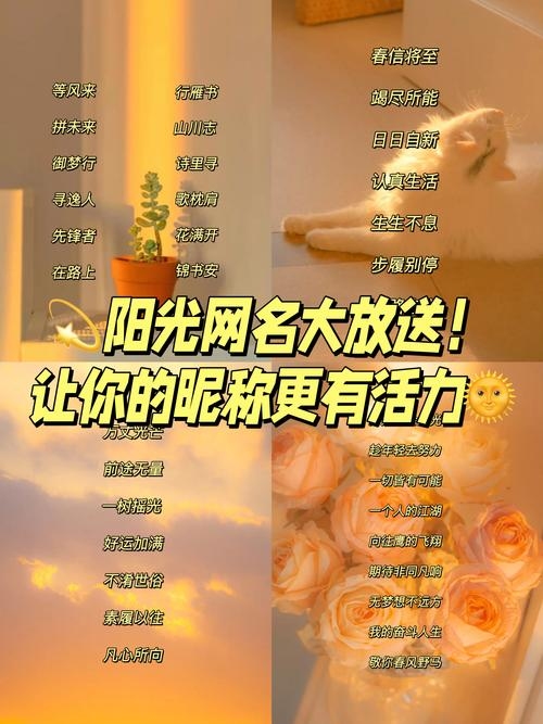 网络个性名字，释放自我、绽放光芒插图