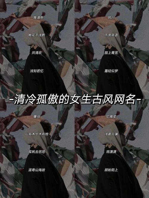 网络名推荐网 | 冷傲风华绝佳，静谧意境雅致插图