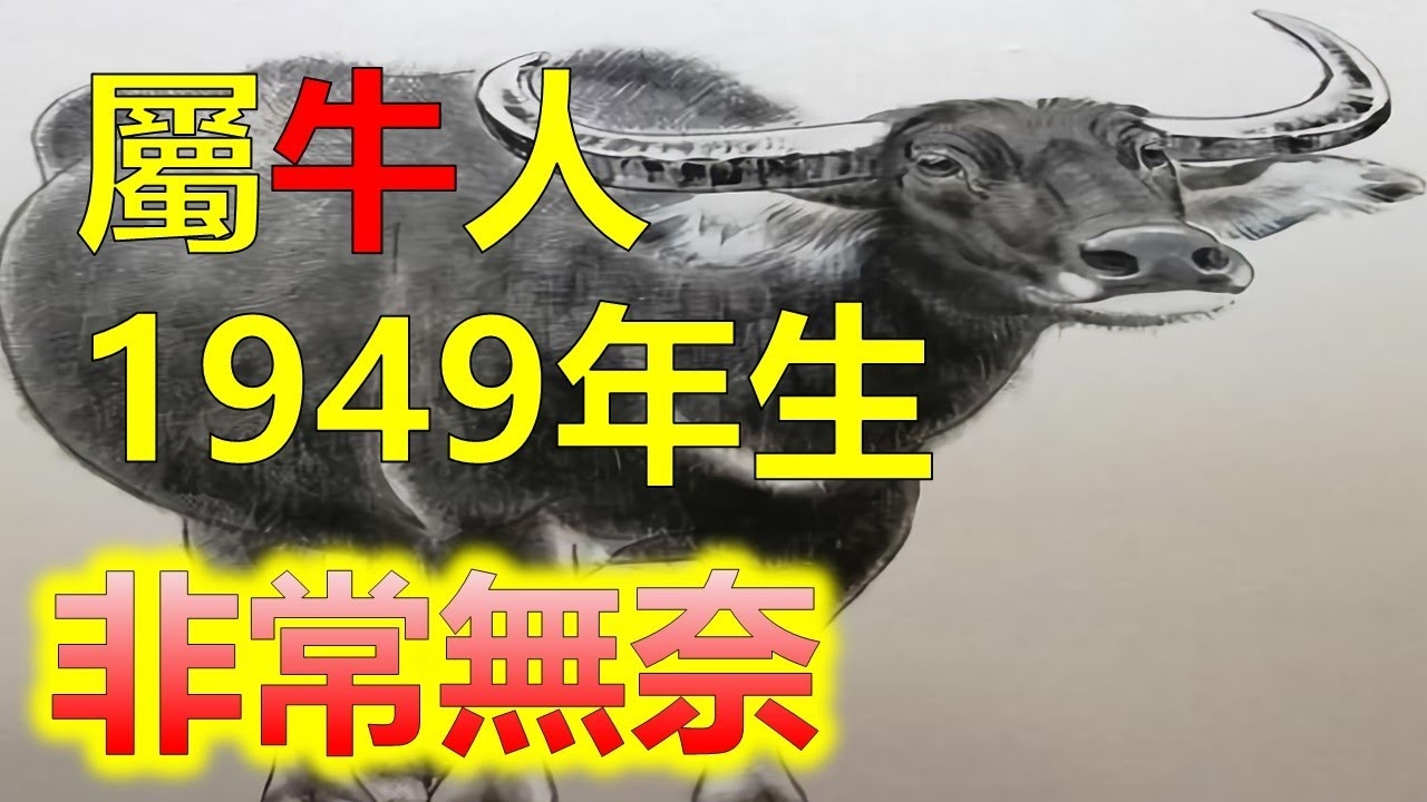 为何属牛的人不怕本命年插图