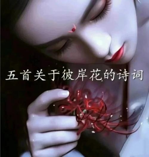 彼岸孤寂，爱如花海清风——青春的孤独与深情。插图