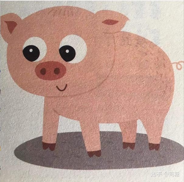 慈悲为怀的生肖—猪插图