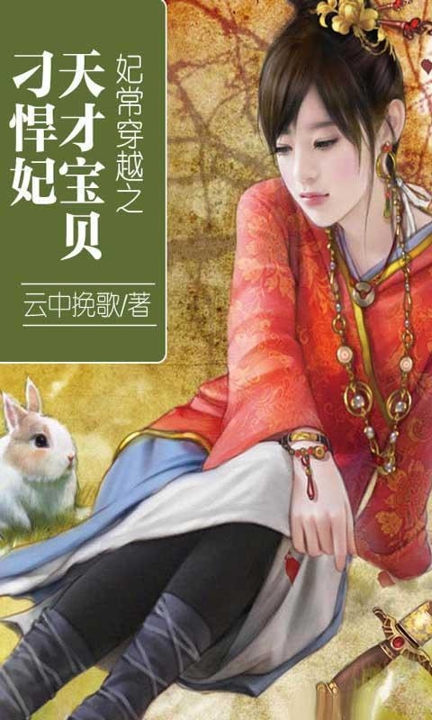 妃常穿越之天才宝贝，刁悍妃的传奇人生插图