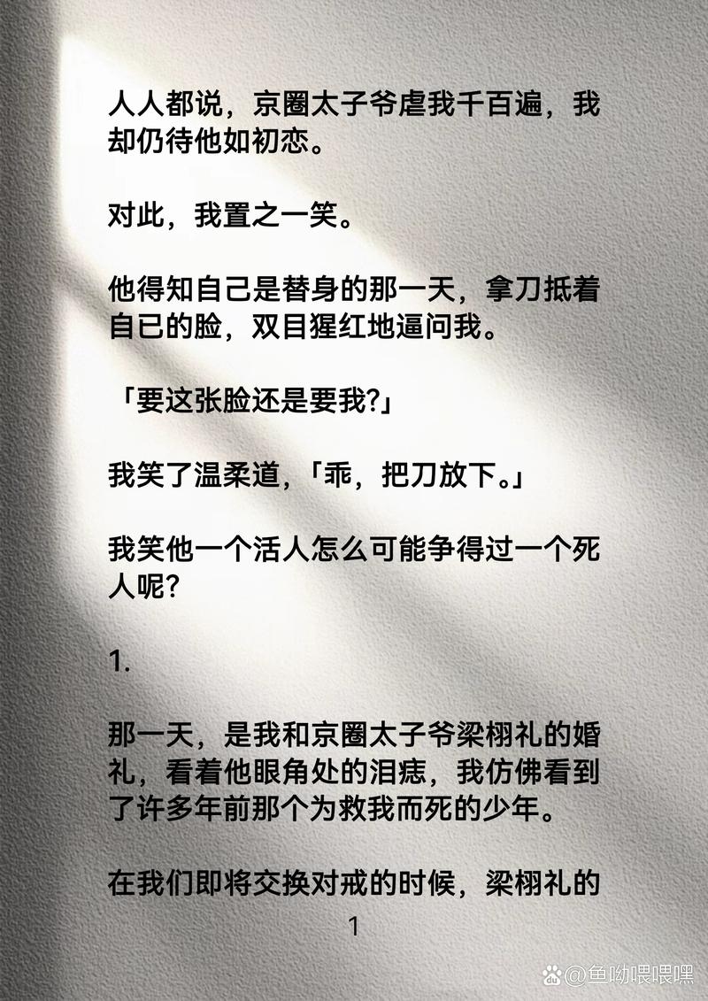 京城缘起，北京男士征婚记插图