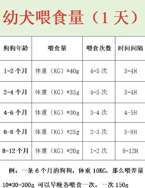 狗吃小孩，宠物行为与安全喂食解析插图