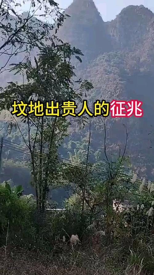 坟地出贵人的预兆插图