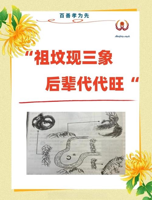 墓地风水奇闻怪事插图 墓地风水奇闻怪事插图