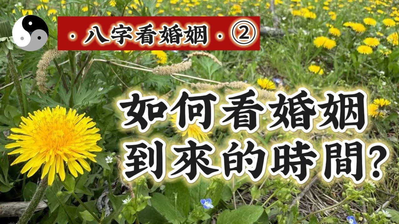 瓷都算命婚姻，探寻古老智慧与现代生活的交汇插图