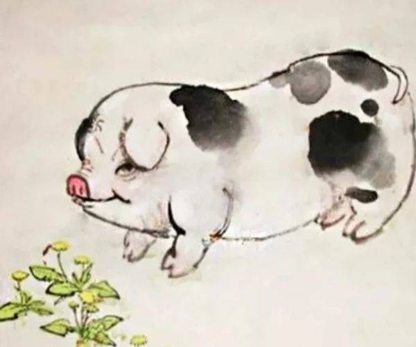 贪得无厌代表生肖揭晓插图 贪得无厌代表生肖揭晓插图