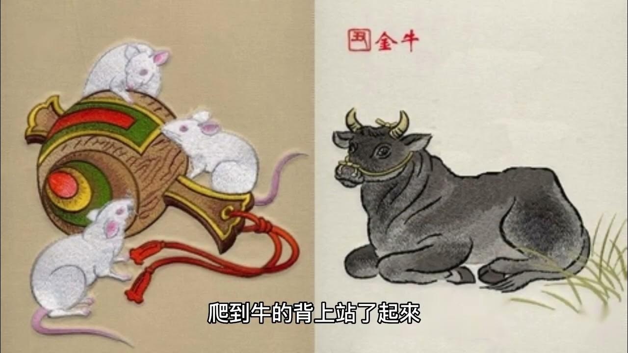 藕断丝连的生肖之谜插图 藕断丝连的生肖之谜插图