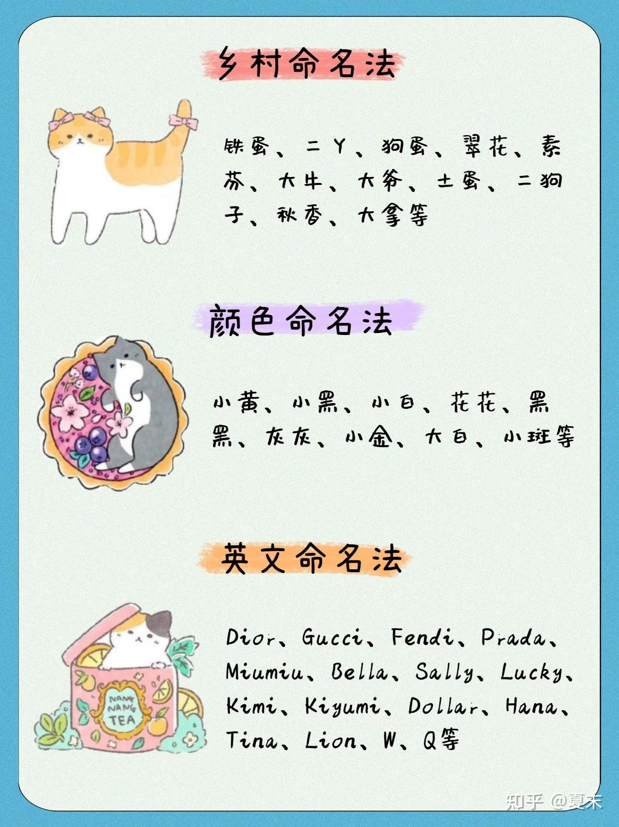 悦耳之名,为你的宠物挑选那些好听的昵称插图 悦耳之名,为你的宠物挑选那些好听的昵称插图