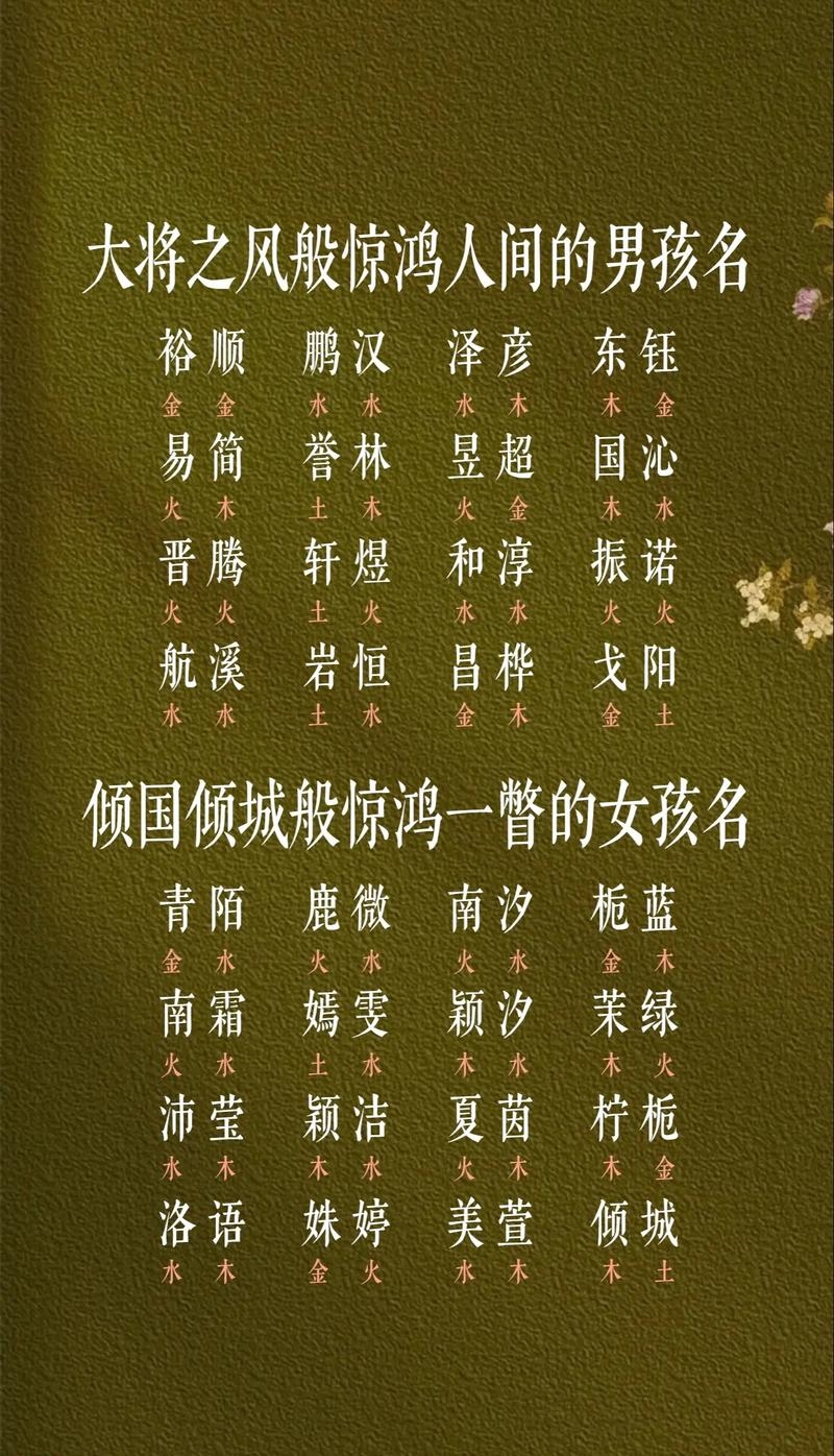 免费给宝宝起名，开启多元姓名自由之旅插图