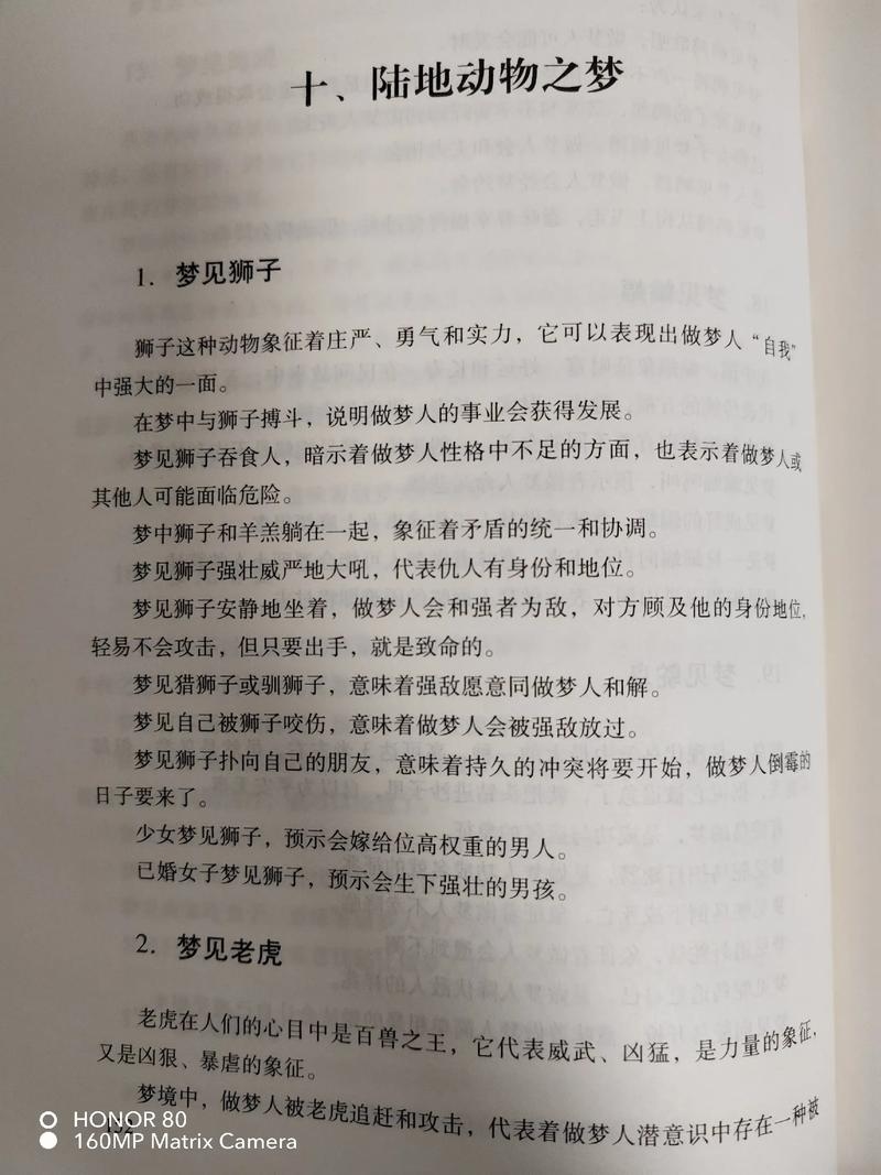 孕妇梦见狮子，寓意、心理分析与传统解读插图